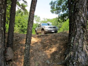 908551_4812616070477_998824218_n