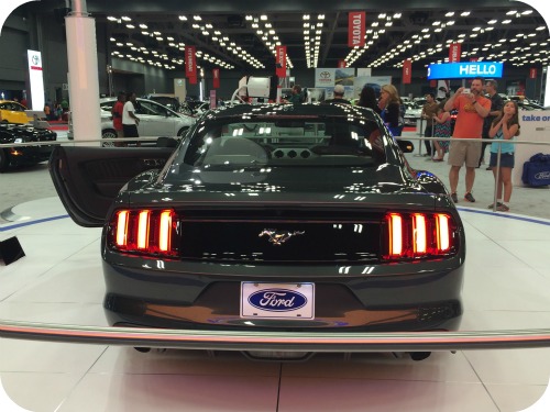 mustang2